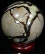 Beautiful Polished Septarian Sphere #32014-1